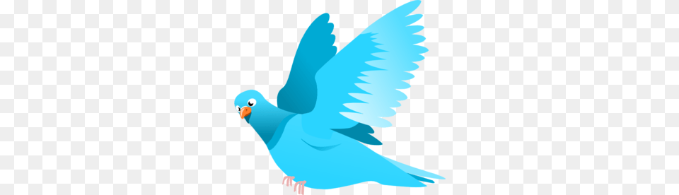 Blue Bird Clip Art, Animal, Parakeet, Parrot, Person Free Png Download