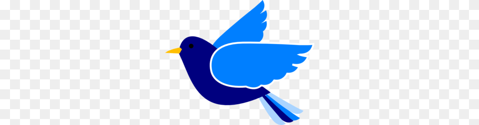 Blue Bird Clip Art, Animal, Jay, Bluebird Free Png