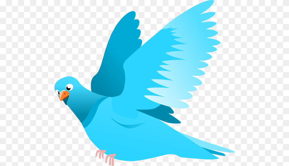 Blue Bird Clip Art, Animal, Parakeet, Parrot, Pigeon Free Png Download