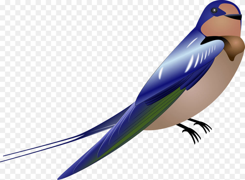 Blue Bird Clipart, Animal, Swallow, Fish, Sea Life Png