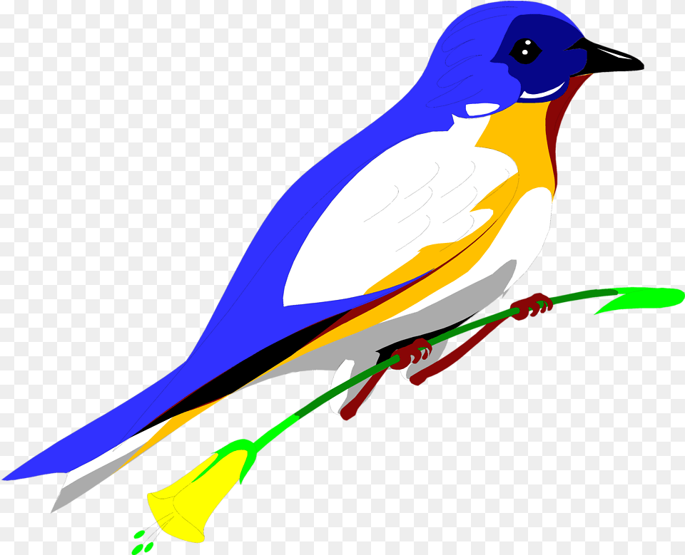 Blue Bird Clipart Bird Clipart, Animal, Jay, Bluebird, Finch Png Image