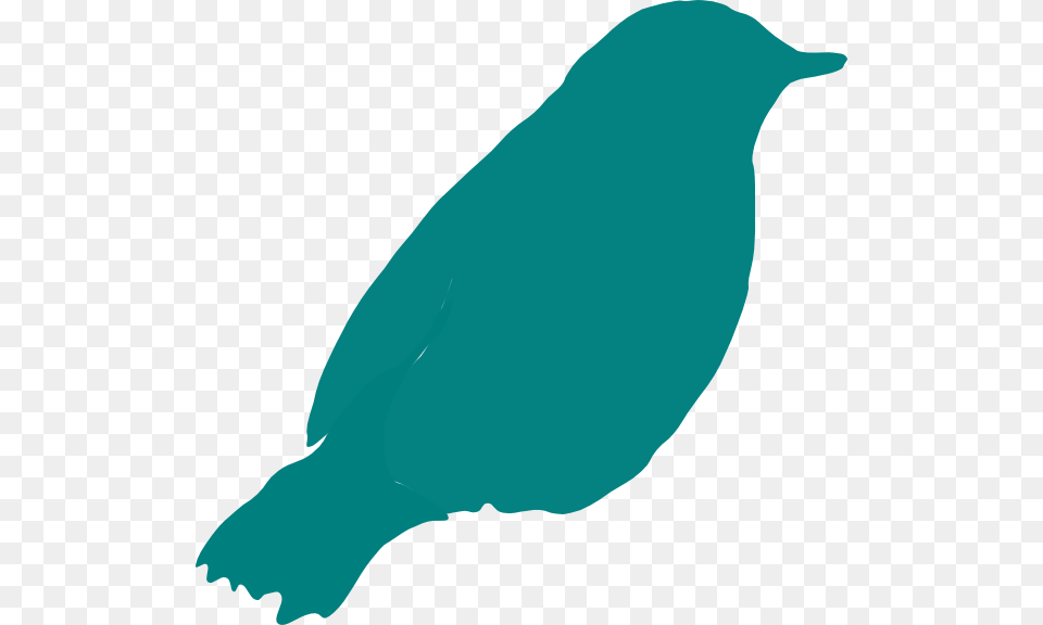 Blue Bird Clipart Black Bird Clip Art, Animal, Beak, Blackbird, Jay Free Transparent Png