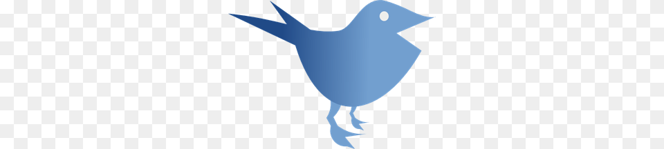Blue Bird Clipart For Web, Animal, Blackbird, Jay, Baby Png Image