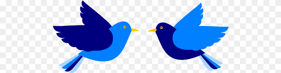 Blue Bird Clipart Clip Art Bay Two Birds Clipart, Animal, Beak, Jay, Bluebird Free Png Download