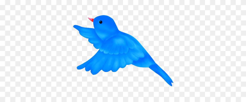 Blue Bird Clipart Download Clip Art, Animal, Bluebird Free Transparent Png