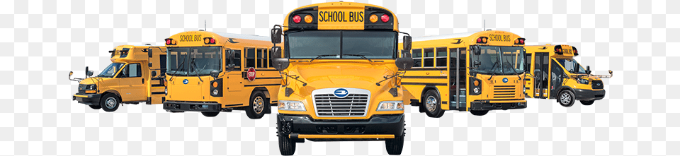 Blue Bird Has The Right Bus For You We Offer The Industry39s Blue Bird Bus Logo, School Bus, Transportation, Vehicle, Truck Free Png Download