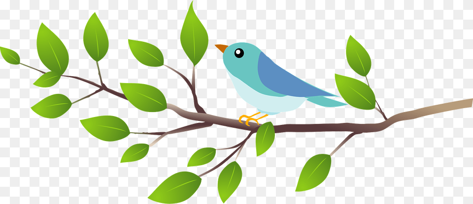 Blue Bird On A Branch Clipart, Leaf, Plant, Animal, Finch Png