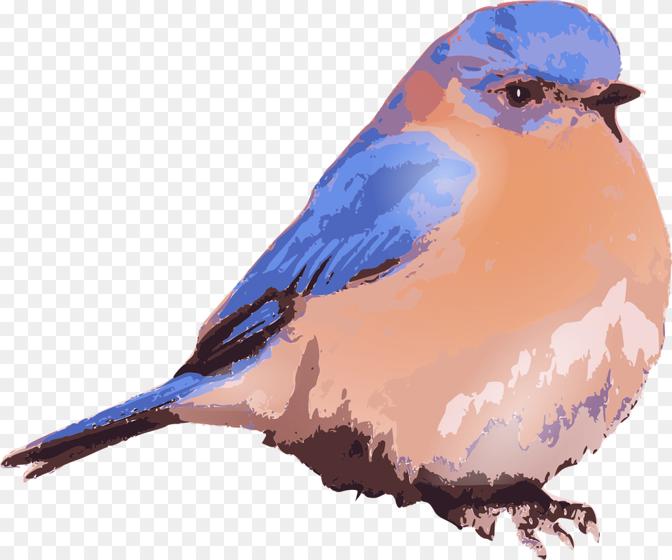 Blue Bird Picture Clip Art Eastern Bluebird Art, Animal, Blue Jay, Jay Free Png Download