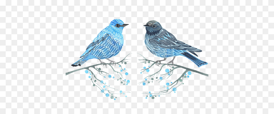 Blue Birds, Animal, Bird, Jay, Bluebird Png Image