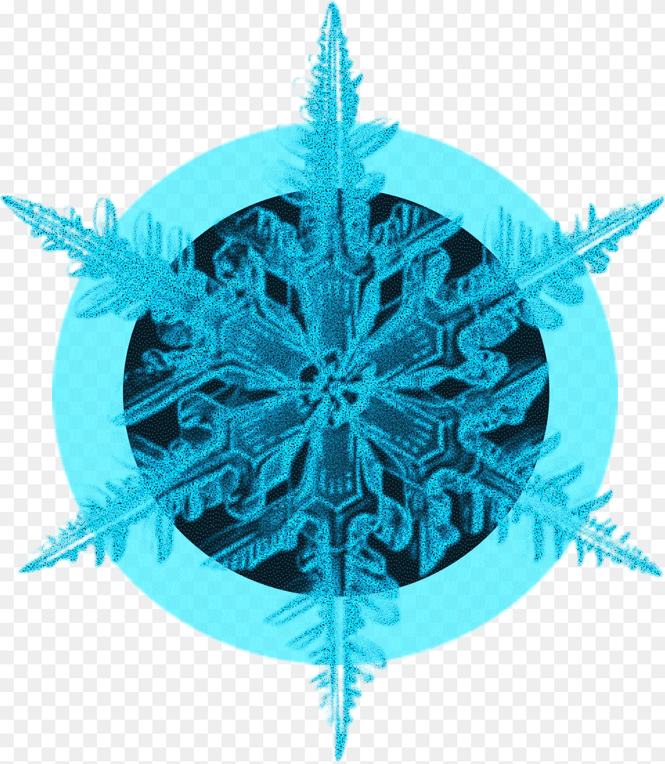 Blue Black Crystal Ice Flower Decorative And Psd Vector Graphics, Nature, Outdoors, Snow, Snowflake Free Png Download