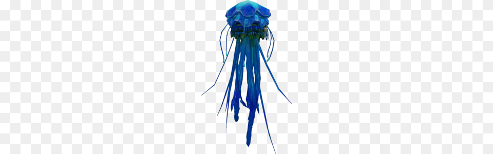 Blue Blubber Jellyfish, Animal, Sea Life, Invertebrate, Bow Free Transparent Png