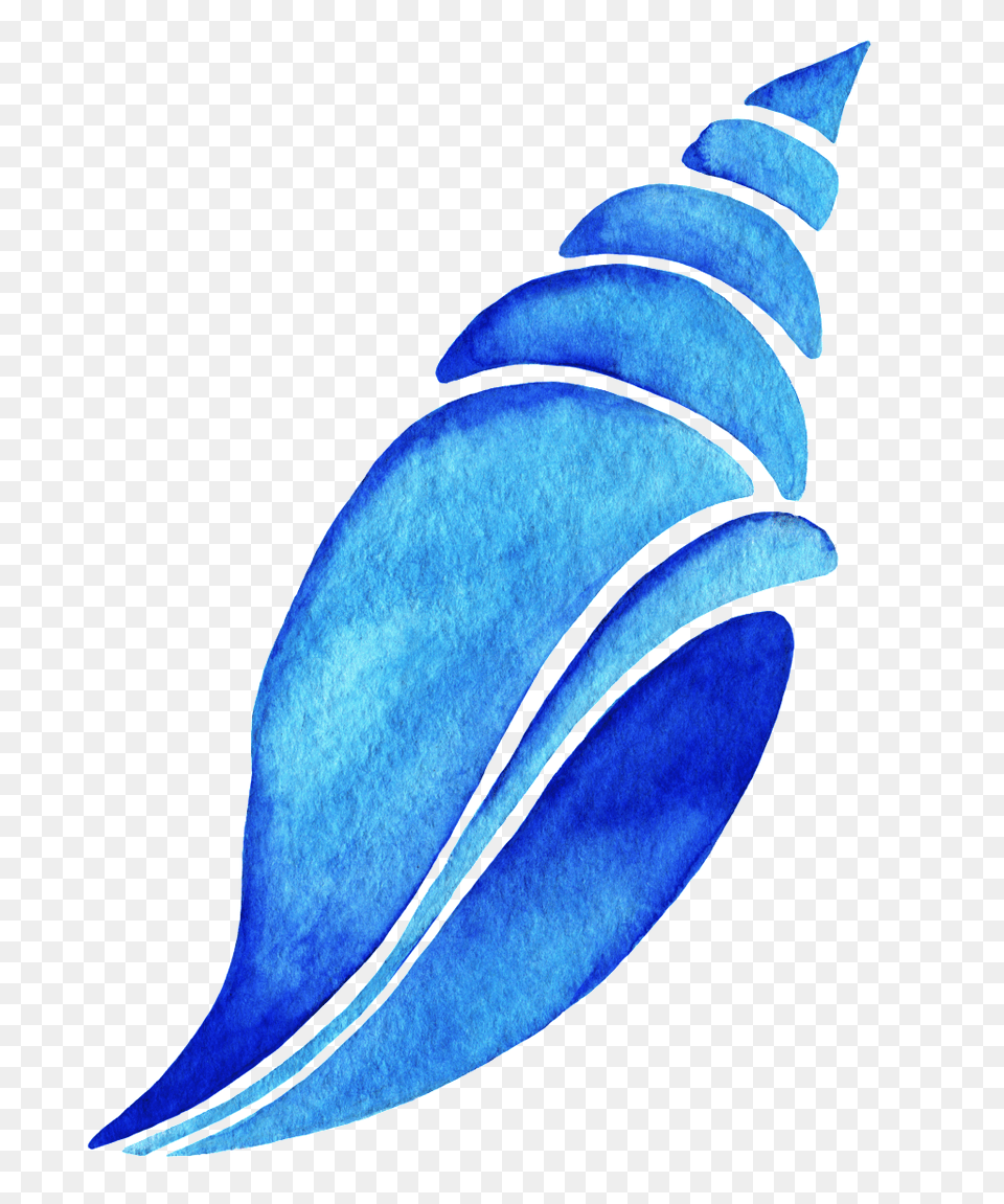 Blue Blue Conch Cartoon Transparent Vector, Yacht, Vehicle, Transportation, Water Free Png Download