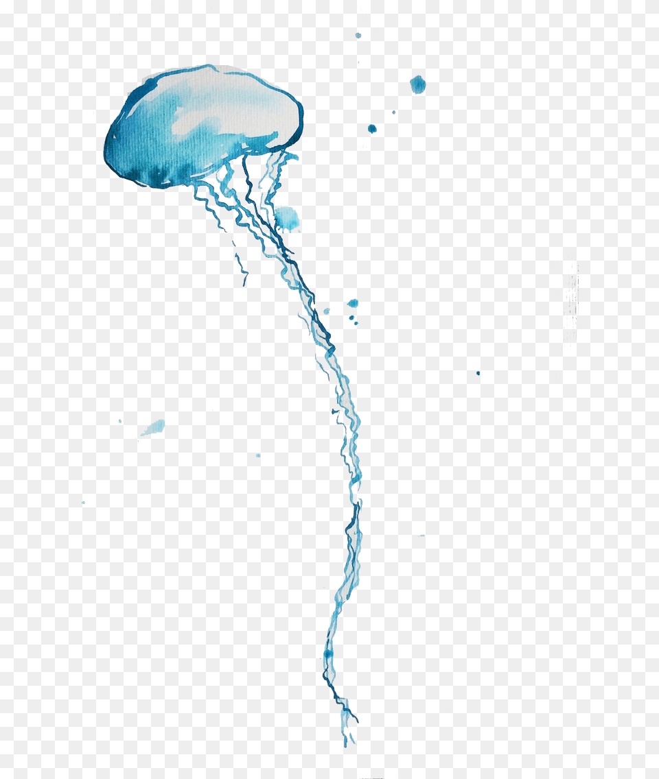 Blue Bottle Jellyfish Background Portable Network Graphics, Animal, Sea Life, Invertebrate Png