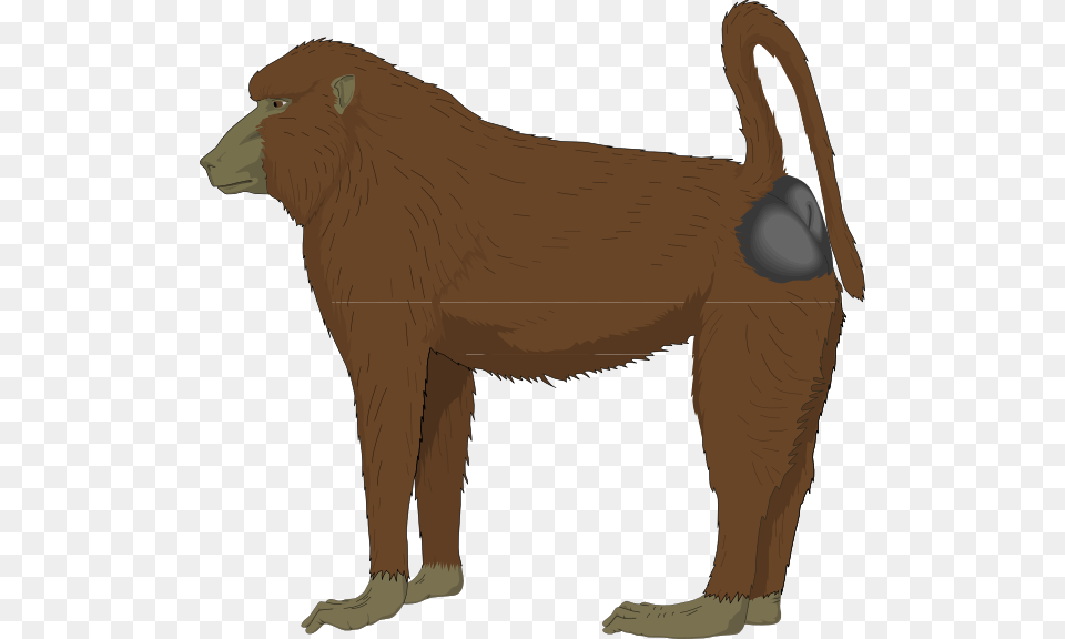 Blue Bottomed Ape Clip Art, Animal, Mammal, Monkey, Wildlife Free Png