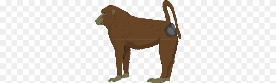 Blue Bottomed Ape Clip Art For Web, Animal, Baboon, Mammal, Monkey Free Transparent Png