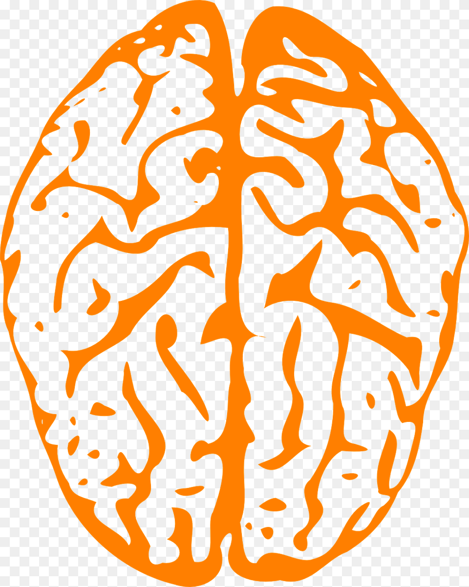 Blue Brain, Ct Scan, Food, Nut, Plant Png
