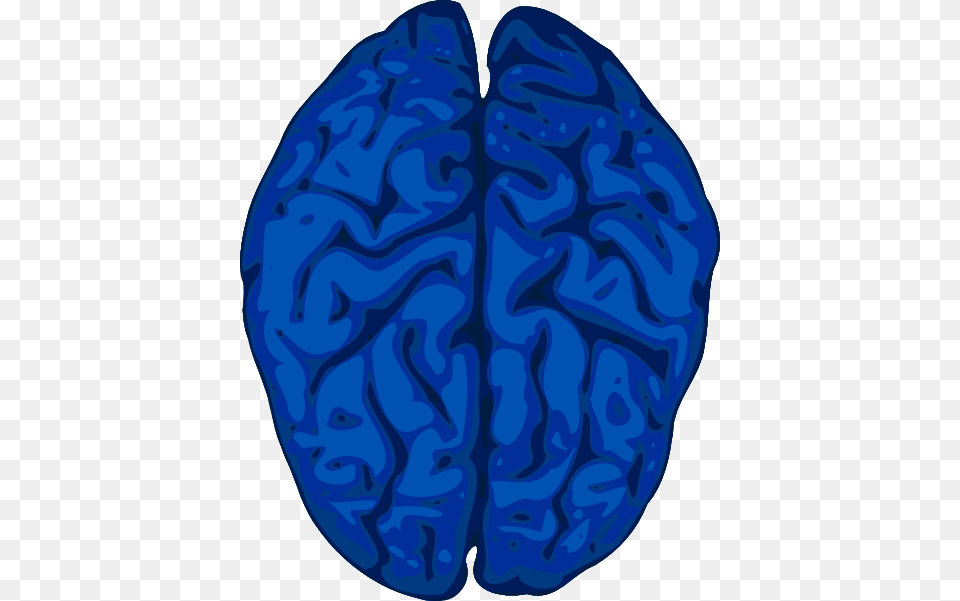 Blue Brain Clip Art, Ct Scan, Food, Nut, Plant Png