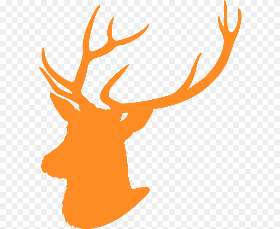 Blue Buck Head Clipart, Animal, Antler, Deer, Mammal Free Png