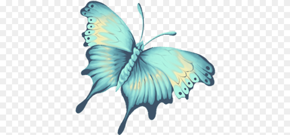 Blue Butterflies, Animal, Dinosaur, Reptile Free Png