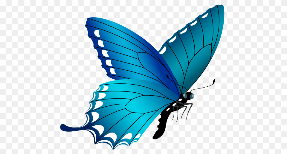 Blue Butterfly, Animal, Fish, Sea Life, Shark Free Transparent Png