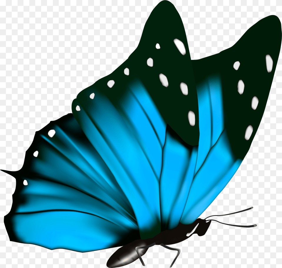 Blue Butterfly Free Png Download