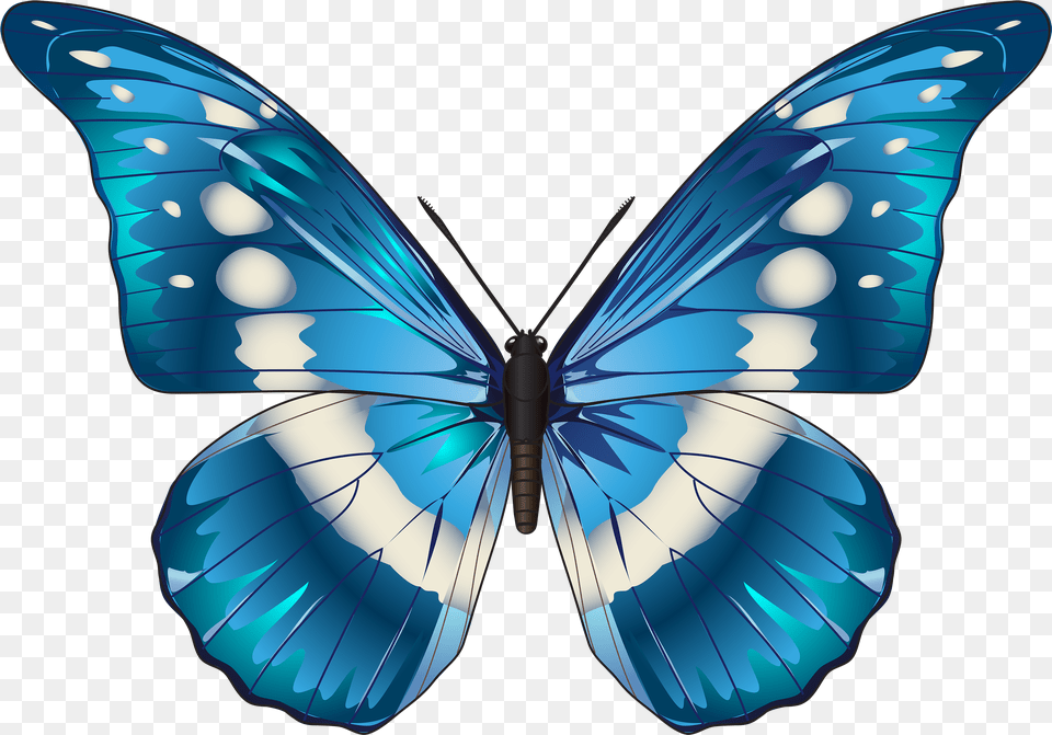 Blue Butterfly Blue Morpho Butterfly Clip Art, Animal, Insect, Invertebrate, Fish Free Png
