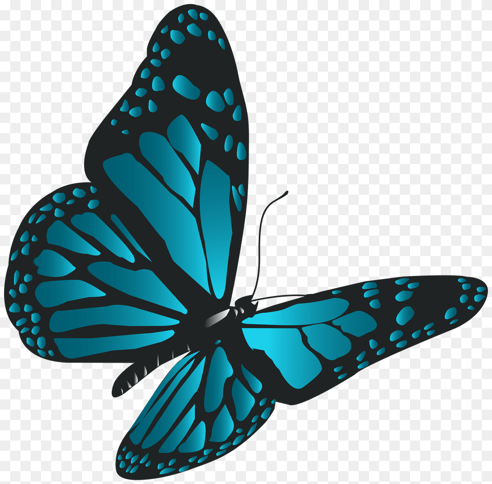 Blue Butterfly Clip, Animal, Insect, Invertebrate, Turquoise Free Png Download