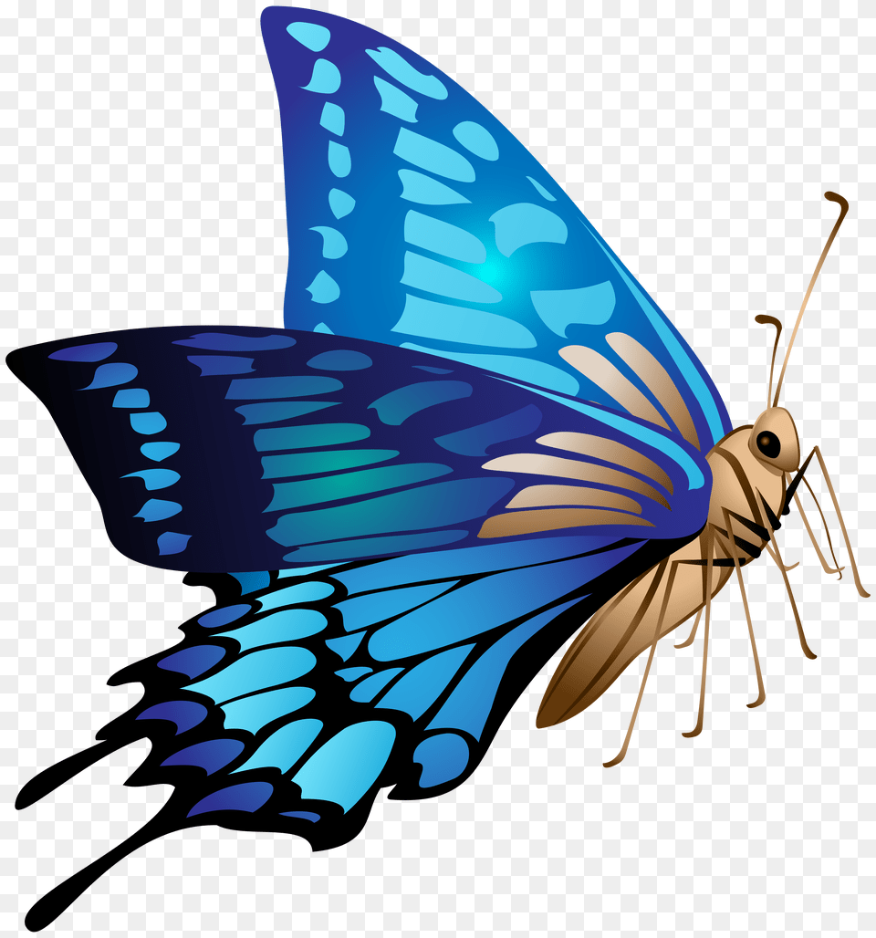 Blue Butterfly Clip Art, Animal, Insect, Invertebrate, Moth Png