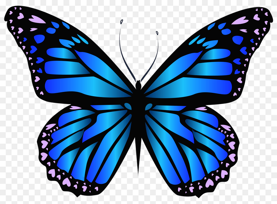 Blue Butterfly Clipar, Animal, Insect, Invertebrate Png