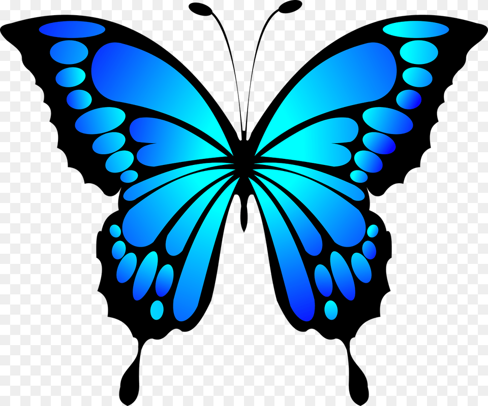 Blue Butterfly Clipart 1 Image Butterfly Clip Art Blue, Animal, Insect, Invertebrate Png