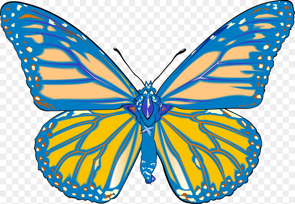 Blue Butterfly Clipart, Animal, Insect, Invertebrate, Monarch Free Png Download