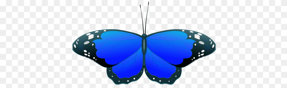 Blue Butterfly Clipart, Animal, Insect, Invertebrate, Baby Png Image