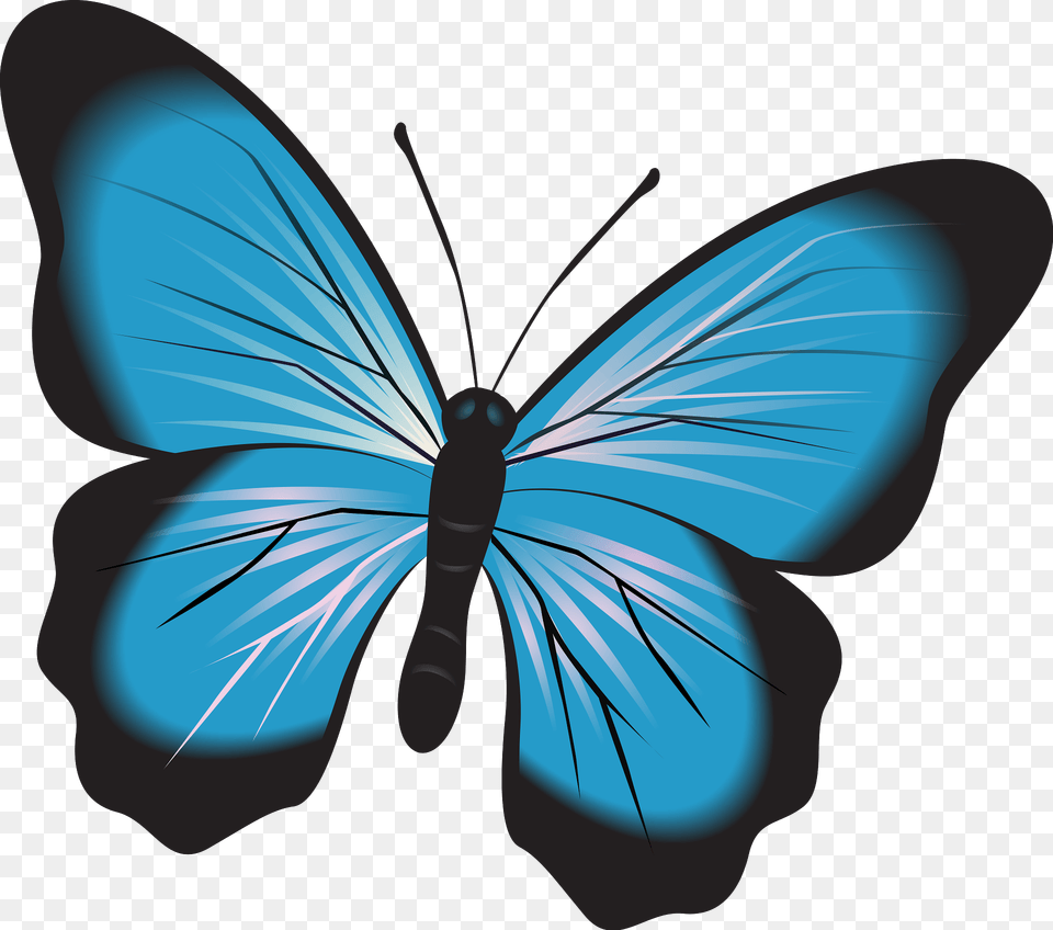 Blue Butterfly Clipart, Animal, Insect, Invertebrate, Art Png Image