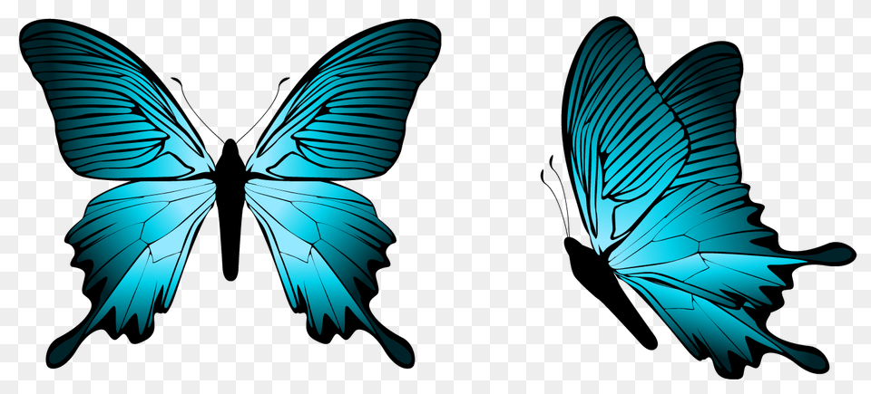 Blue Butterfly Clipart Butterflies Dragonflies, Animal, Bird, Flying, Person Png Image
