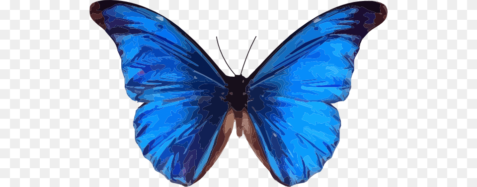 Blue Butterfly Clipart Les Baux De Provence, Animal, Insect, Invertebrate, Person Free Png