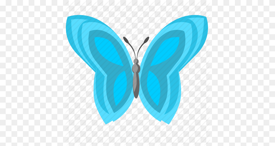 Blue Butterfly Colored Wings Icon, Accessories, Earring, Jewelry, Turquoise Free Transparent Png
