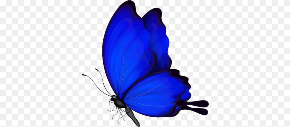 Blue Butterfly Download Blue Butterfly Vector, Accessories, Animal, Insect, Invertebrate Png Image