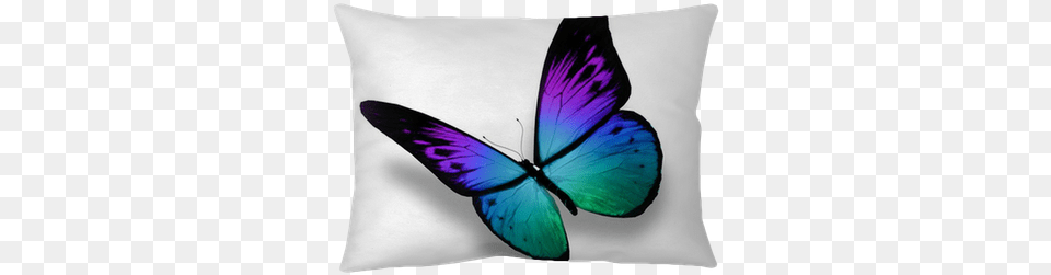Blue Butterfly Flying Isolated We Live To Change Loving Memory Of Mother In Law, Cushion, Home Decor, Pillow, Animal Free Transparent Png
