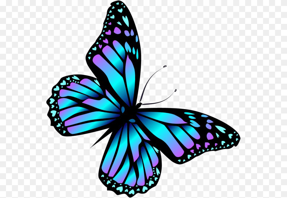 Blue Butterfly High Quality Image Arts, Animal, Insect, Invertebrate Free Png Download