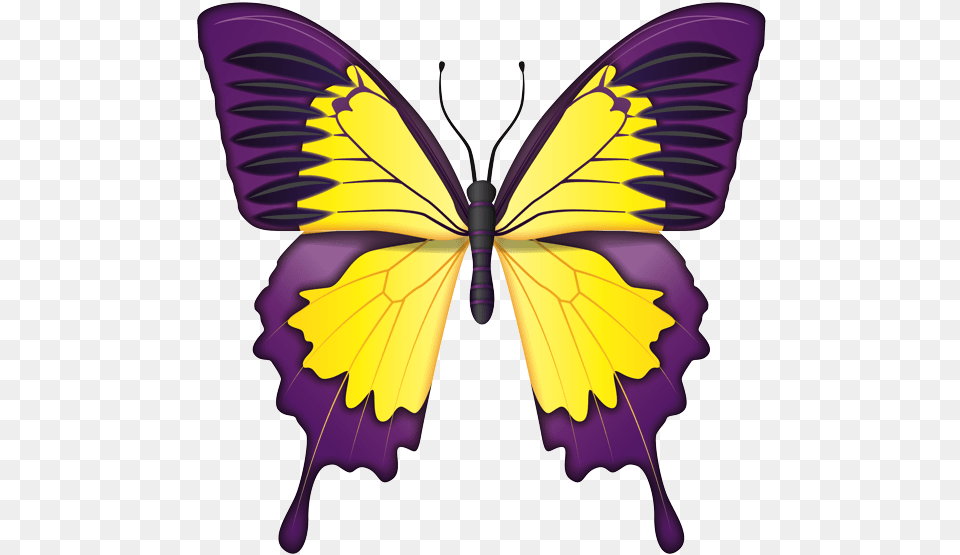 Blue Butterfly Images Natural, Purple, Animal, Insect, Invertebrate Free Transparent Png