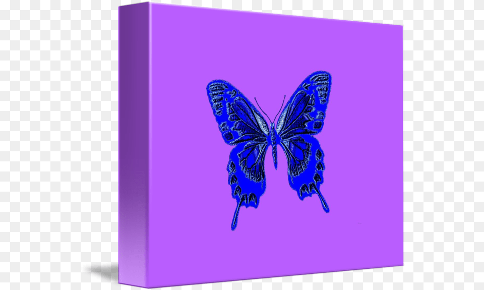 Blue Butterfly Lavender Background By L Brown Lycaenid, Purple, Canvas, Animal, Insect Png Image