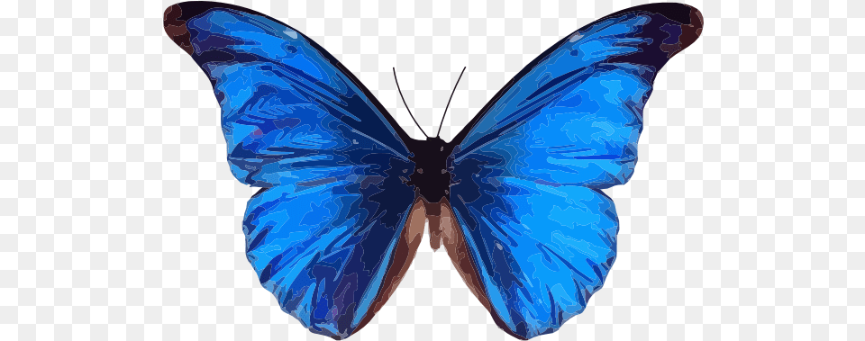 Blue Butterfly Clipart Blue Butterfly, Person, Animal, Insect, Invertebrate Free Transparent Png