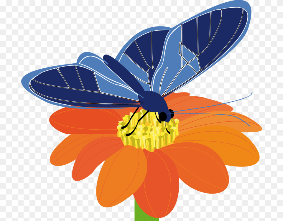 Blue Butterfly With Flower Svg Clip Arts Butterflies On Flower Clipart, Plant, Daisy, Animal, Invertebrate Free Png Download