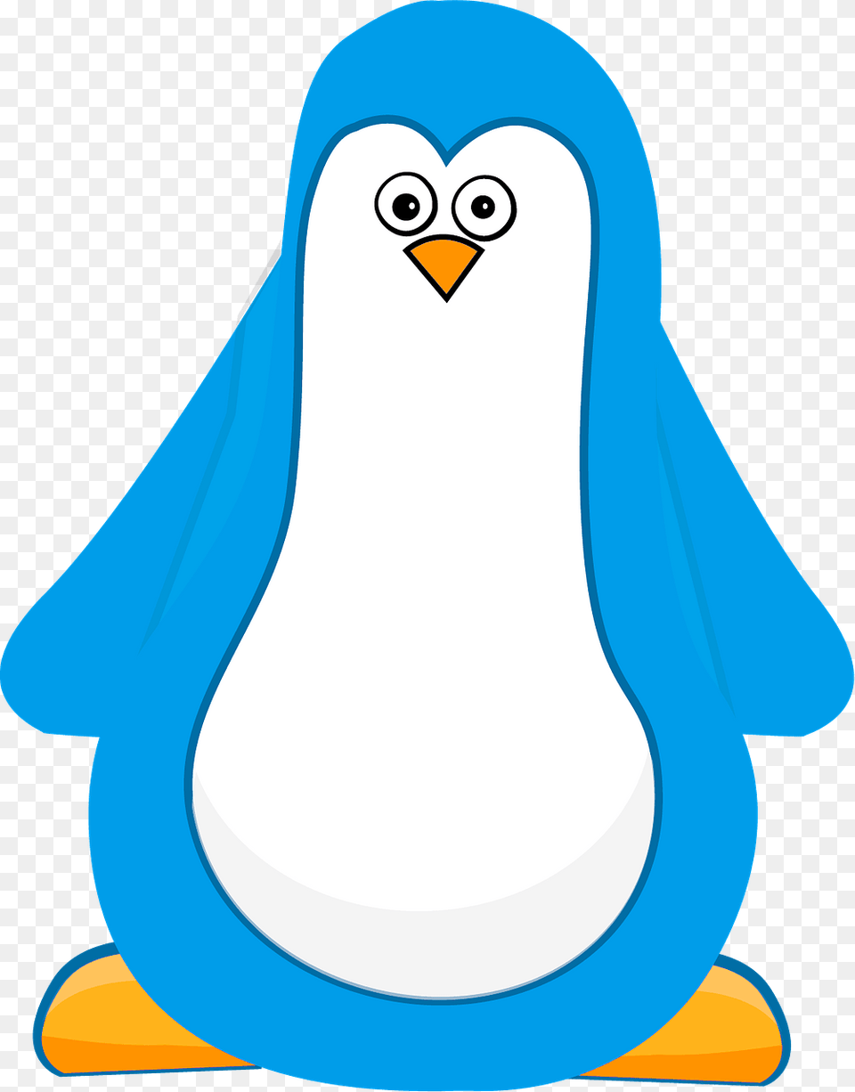 Blue Cartoon Penguin Clipart, Animal, Bird Free Png Download