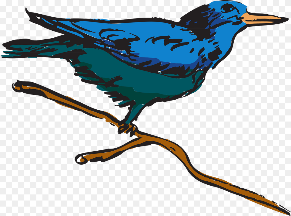 Blue Clipart, Animal, Bird, Jay, Beak Png Image