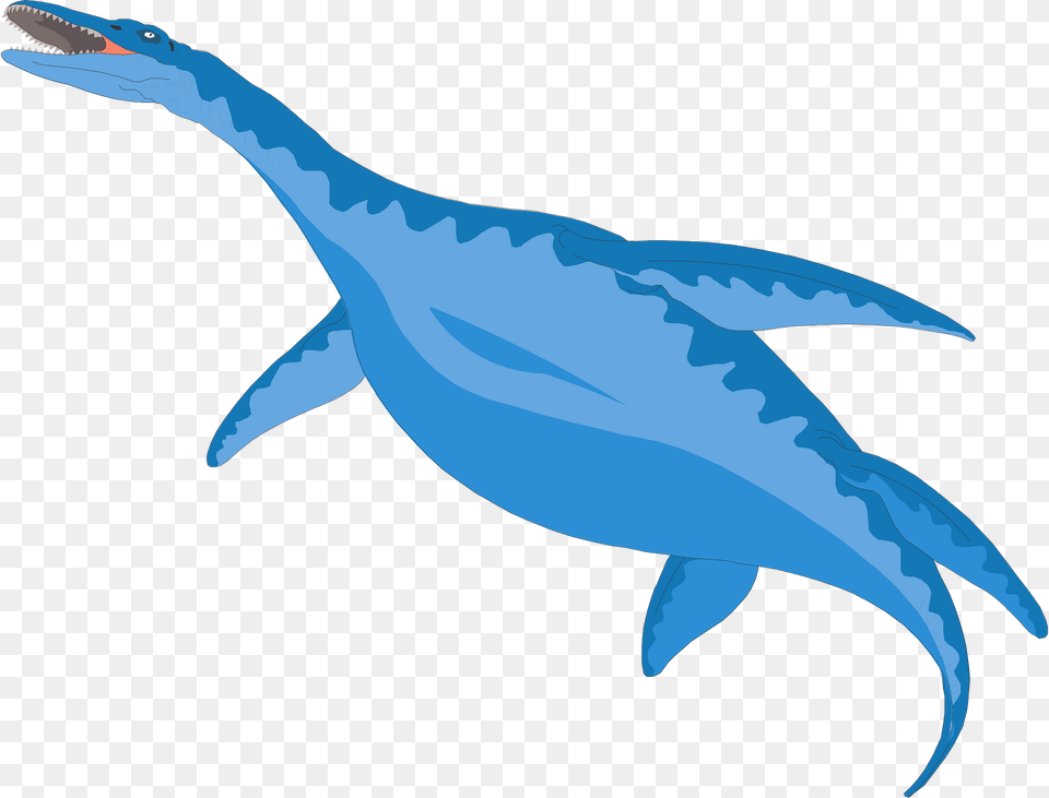 Blue Clipart, Animal, Fish, Sea Life, Shark Png