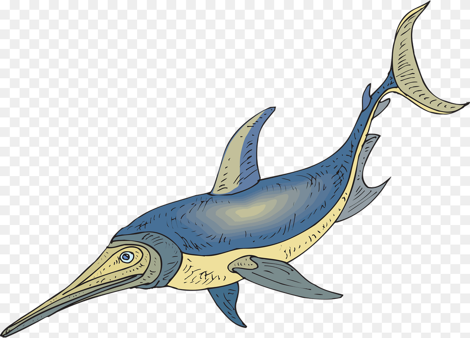 Blue Clipart, Animal, Sea Life, Fish, Shark Png Image