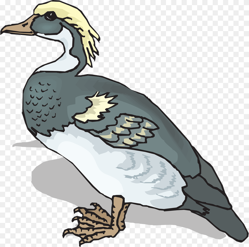 Blue Clipart, Animal, Bird, Goose, Waterfowl Free Png