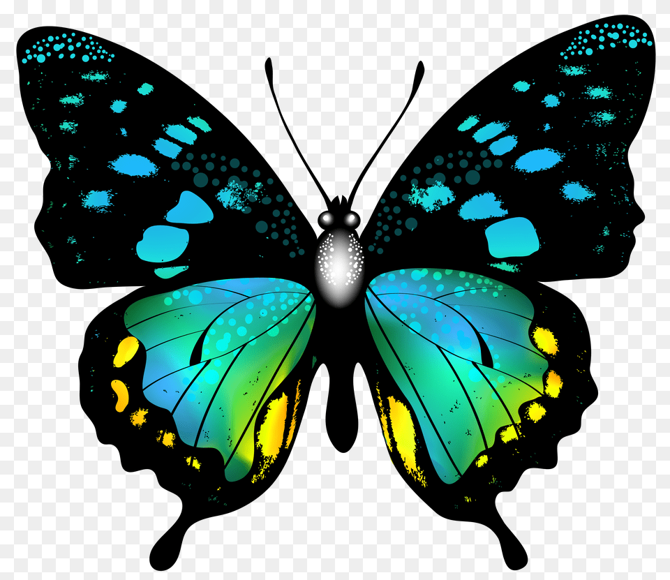 Blue Colorful Butterfly Clip Art Free Png