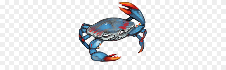 Blue Crab, Invertebrate, Animal, Seafood, Food Png Image